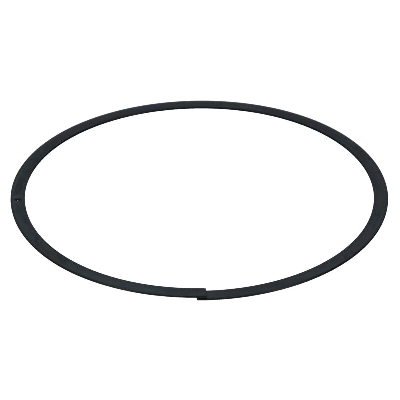 BMW M3 Brake Rotors (2) - Rear - R1 Concepts - Geoperf Drilled & Slotted - `00-`06